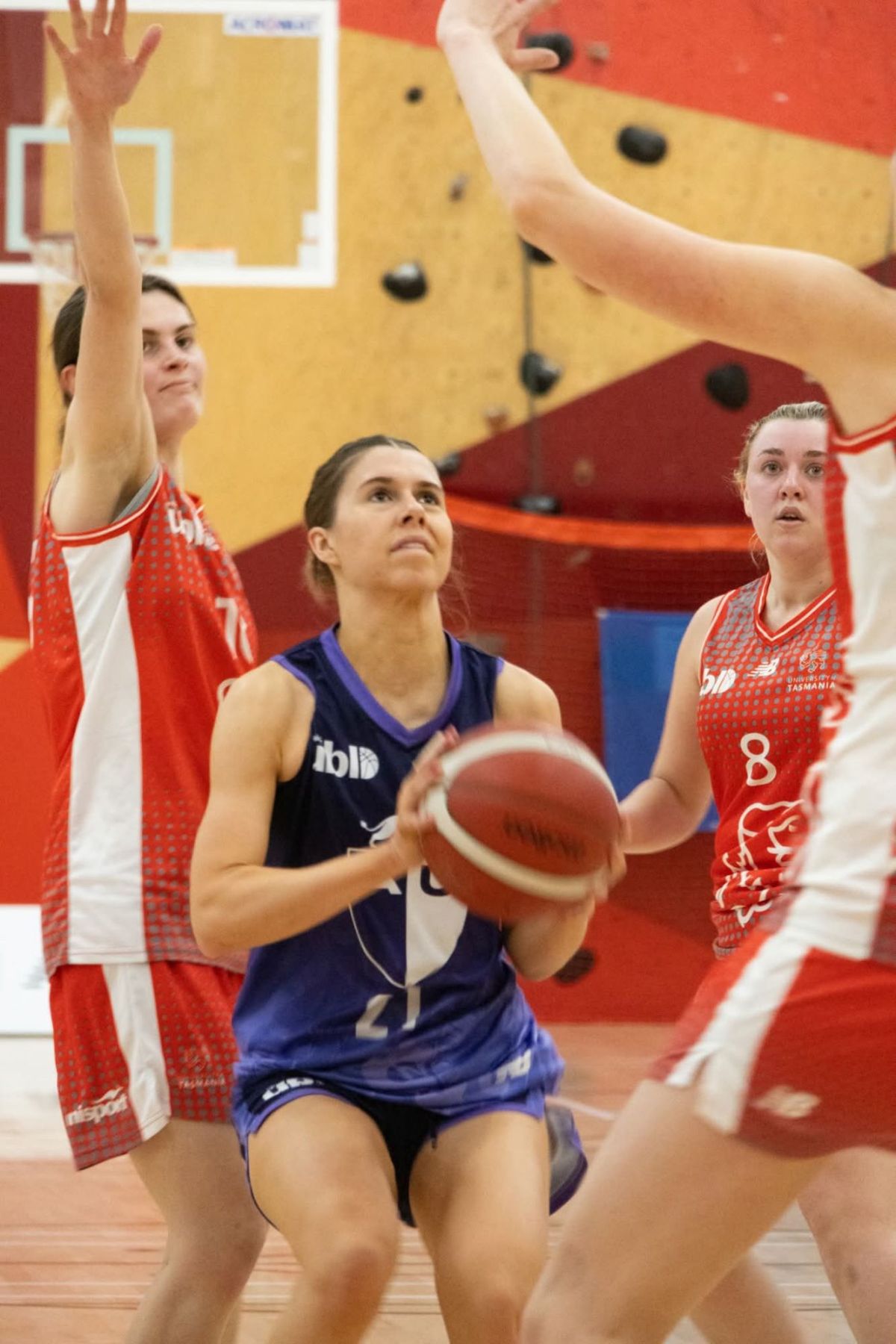 Early and Late Baskets split results at Pridham for&nbsp;Waatu